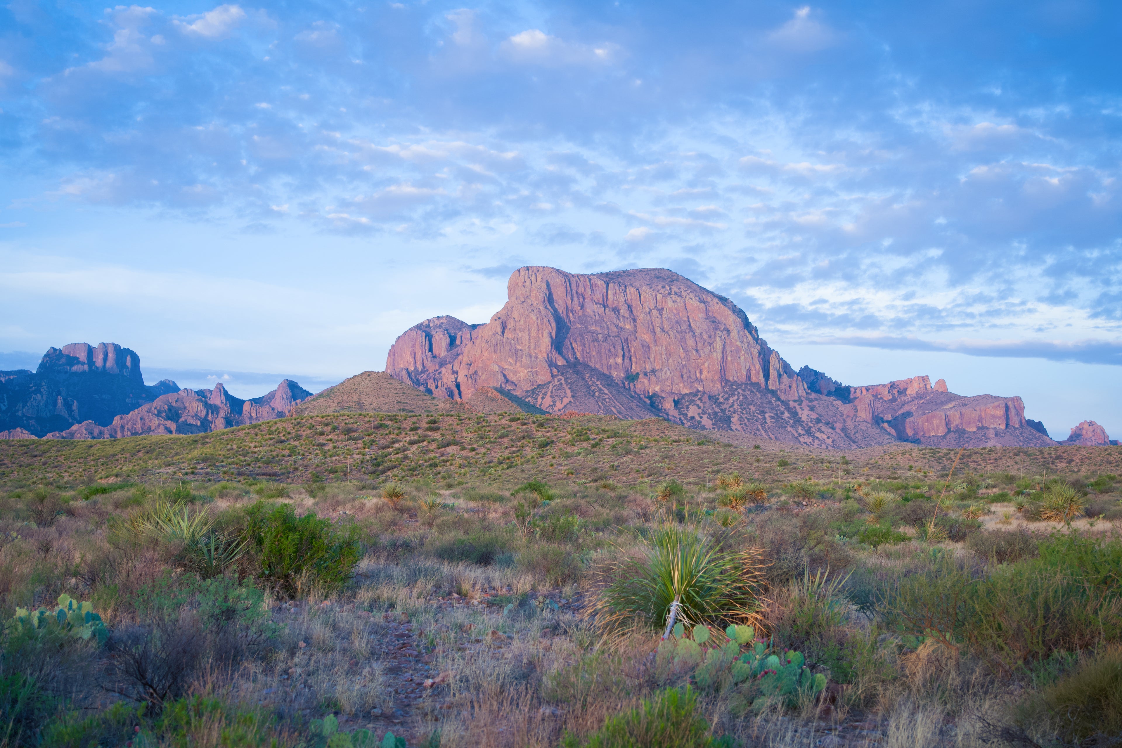 Big Bend Print